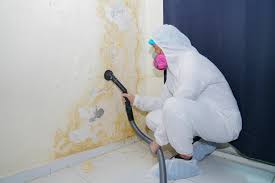 Forensic Mold Investigation in Watertown, NY